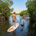 Tour Manglares (El Paredón)